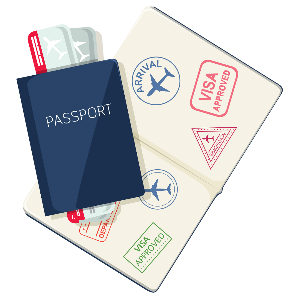 Visa Form Automation